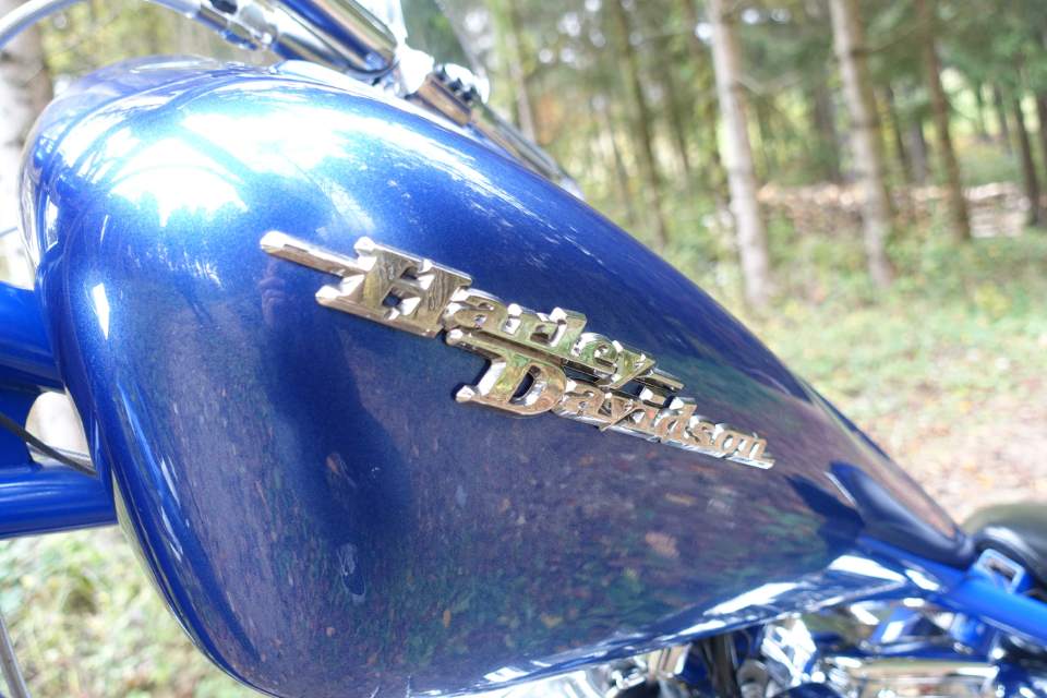 Harley Davidson Chopper Performane 39 Rare Care Assets Harley Davidson Chopper Performane 39 Rare Care Assets