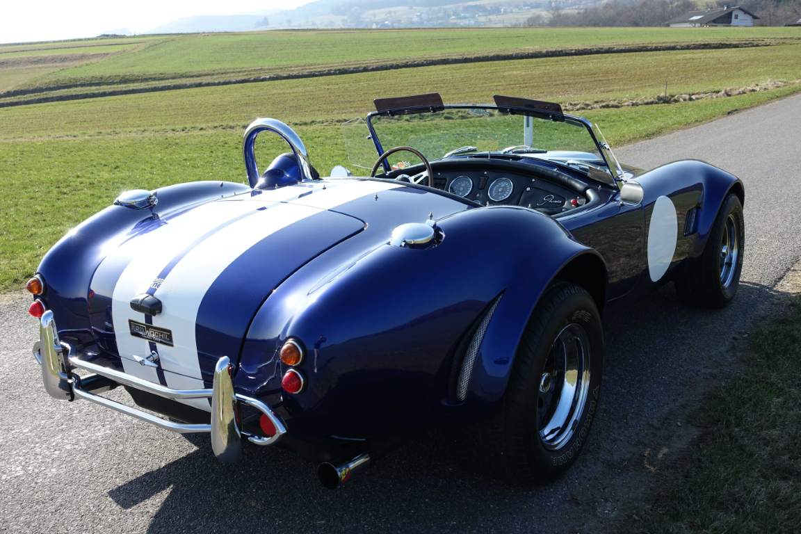 cobra-phoenix-1988-811 Rare Care Assets cobra-phoenix-1988-811 Rare Care Assets