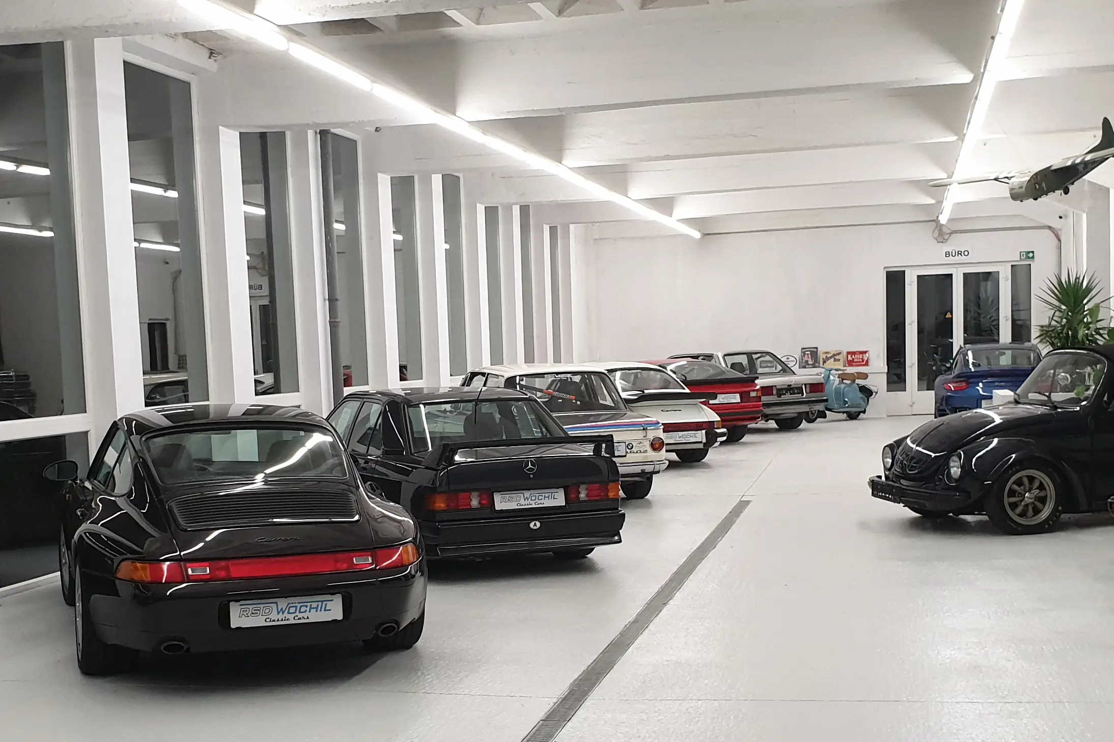 Showroom 2019